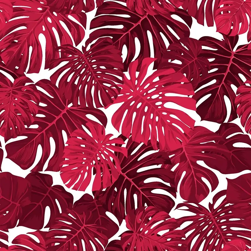 MONSTERA MAGENTA