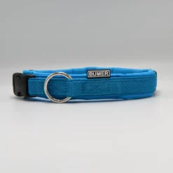 BUMER STACK-IT Steckhalsband, Hundehalsband für Hunde, gepolstert, Halsumfang 37-44 cm, Gurtband Petrol, Softshell Himmelblau, Ring silberfarbig (Edelstahl)