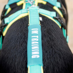 BUMER Leinen-Bandarole für Hundeleinen, (Softshell)