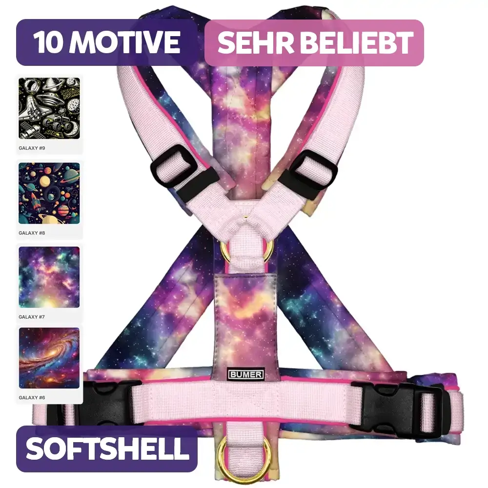 BUMER Hundegeschirr, GALAXY