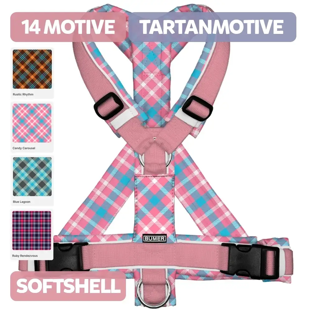 BUMER Hundegeschirr TARTANMOTIVE