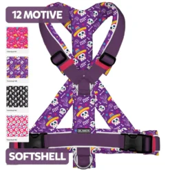 BUMER-Hundegeschirr-TOTENKOePFE