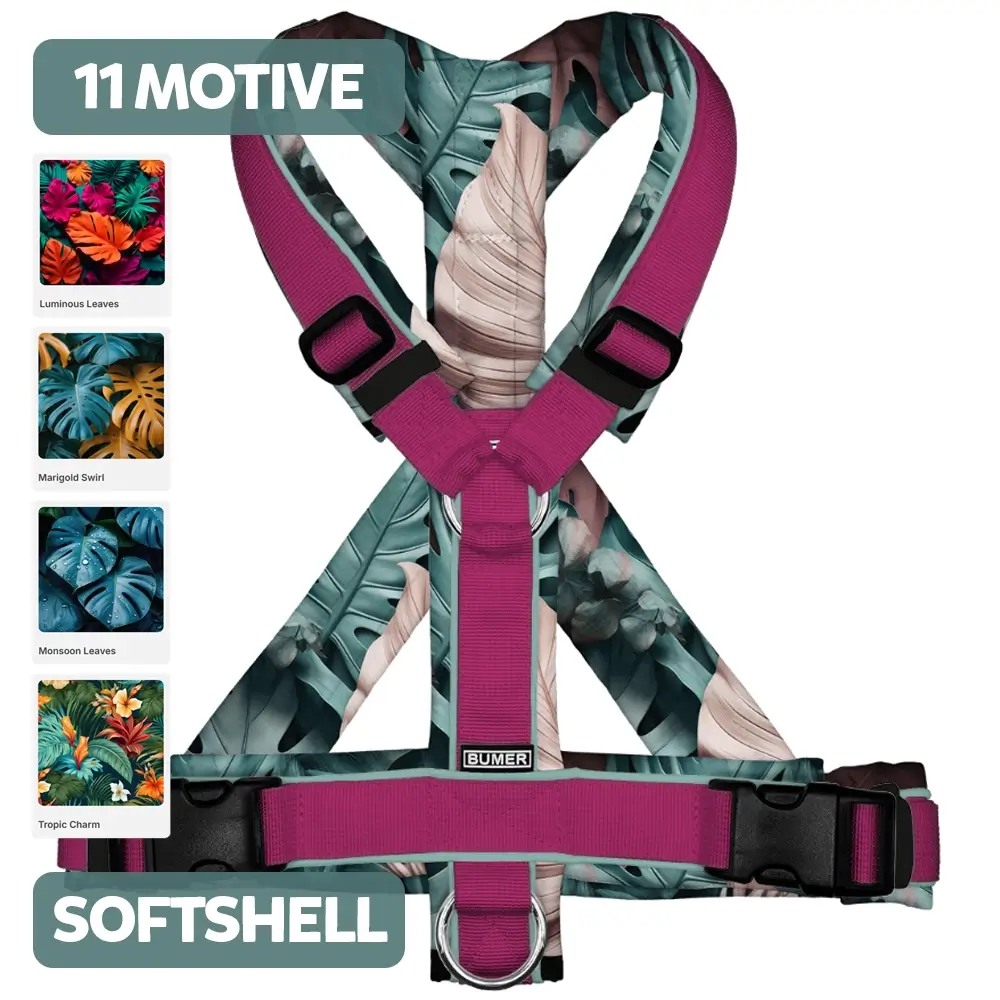 BUMER Hundegeschirr TROPEN