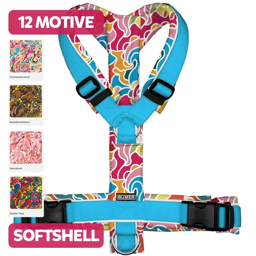 BUMER-Hundegeschirr-WIRBELMUSTER-Modernes-Softshell-Hundegeschirr-1