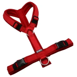 BUMER Hundegeschirr, gepolstert ohne geteilten Bruststeg, Größe S/M, Gurtband: PREMIUM Flammenrot, MESH: Rot, Ringe: silberfarbig (Edelstahl), Schnallen: schwarz