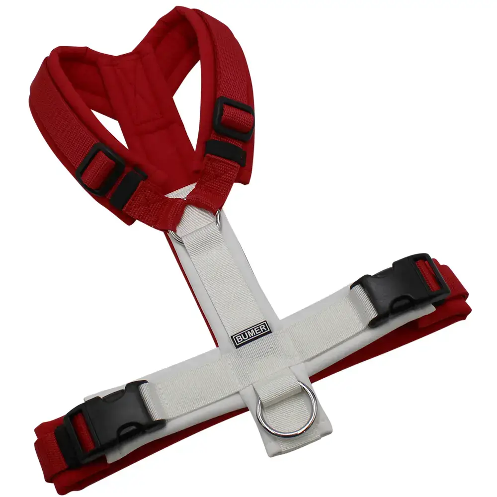 BUMER MULTICOLOR Hundegeschirr, gepolstert ohne geteilten Bruststeg, Größe XXS, Ringe: silberfarbig (Edelstahl), Schnallen: schwarz