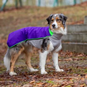 BUMER SOFTSHELL Hundepullover Cozy