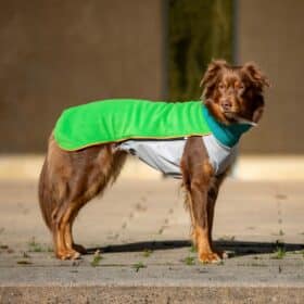 BUMER FLEECE Hundepullover Cozy
