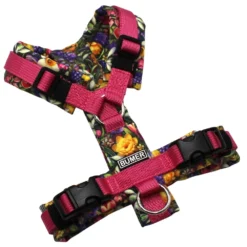 BUMER Hundegeschirr, Gurtband: PREMIUM Himbeer Sorbet, Softshell: Flurina, gepolstert ohne geteilten Bruststeg, Größe XXS, Ringe: silberfarbig (Edelstahl), Schnallen: schwarz (DURAFLEX®). Applikation