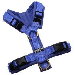 BUMER Hundegeschirr, Gurtband: PREMIUM X Light Blue, Softshell: Schieferblau, gepolstert ohne geteilten Bruststeg, Größe XXS, Ringe: goldfarbig, Schnallen: schwarz (DURAFLEX®)