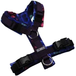 BUMER Hundegeschirr, gepolstert, Größe XXS, Gurtband: PREMIUM Midnight Plum, Softshell: Neon Seascape, Ringe: silberfarbig (Edelstahl), Schnallen: schwarz (DURAFLEX®), Applikation