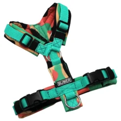 BUMER Hundegeschirr, gepolstert, Größe XXS, Gurtband: PREMIUM X Minze, Softshell: Coral Dreamscape, Ringe: silberfarbig (Edelstahl), Schnallen: schwarz (DURAFLEX®), Applikation