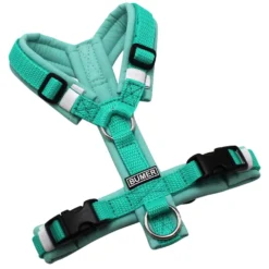 BUMER Hundegeschirr, gepolstert, Größe XXS, Gurtband: PREMIUM X Minze, Softshell: Jadenluft, Ringe: silberfarbig (Edelstahl), Schnallen: schwarz (DURAFLEX®), Gummi: weiss