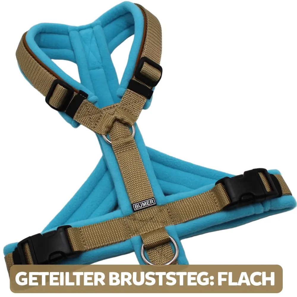 BUMER Hundegeschirr, gepolstert, Größe XXS / XS, Gurtband: Hellsand, Fleece: Clearwater Blue, Ringe: silberfarbig (Edelstahl), Schnallen: schwarz (DURAFLEX®), Paspel: Caffee Latte, Gummi: schwarz