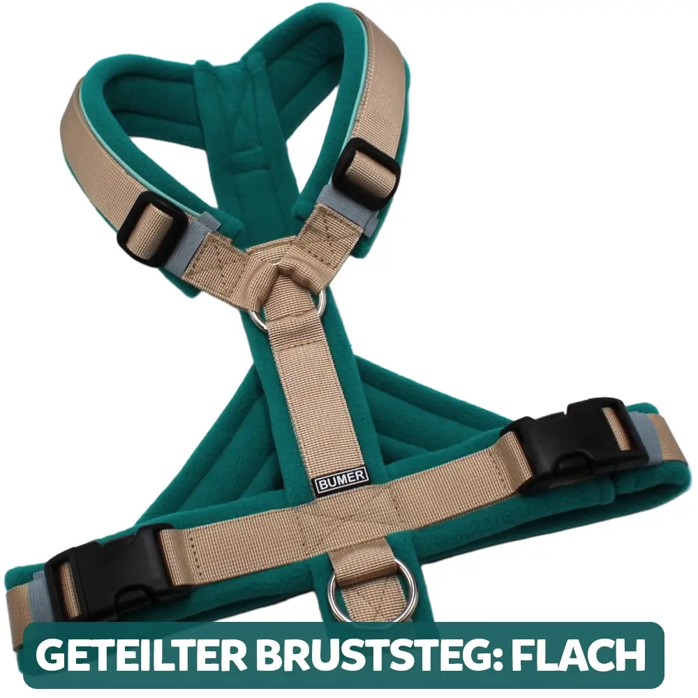 BUMER Hundegeschirr, gepolstert, Größe M, Gurtband: PREMIUM Soft Beige, Fleece: Deep Sea, Ringe: silberfarbig (Edelstahl), Schnallen: schwarz (DURAFLEX®), Paspel: Jadenluft, Gummi: Sagecloud