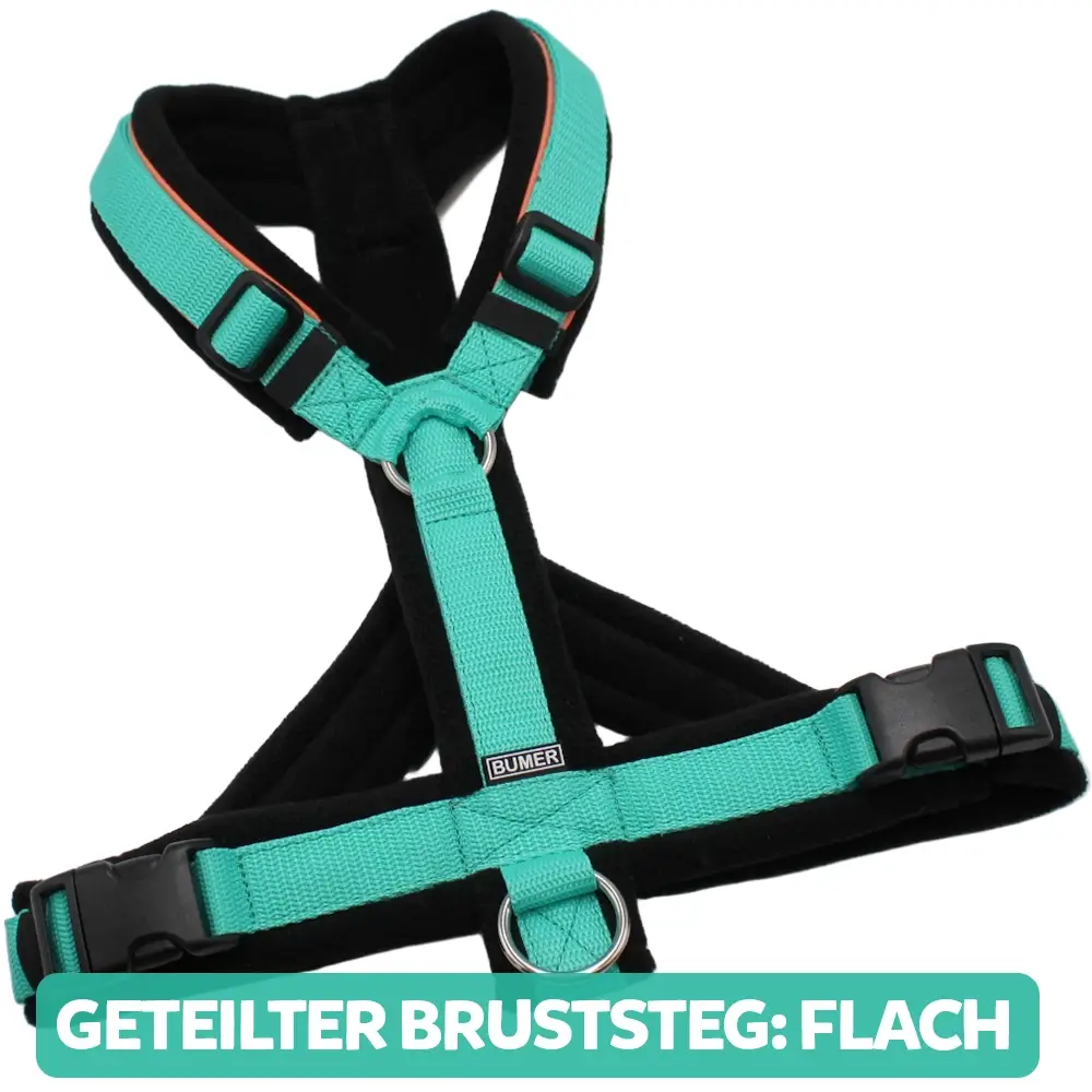 BUMER Hundegeschirr, gepolstert, Größe XXS, Gurtband: PREMIUM X Minze, Fleece: Schwarz, Ringe: silberfarbig (Edelstahl), Schnallen: schwarz (DURAFLEX®), Paspel: Bubblegum, Gummi: Schwarz