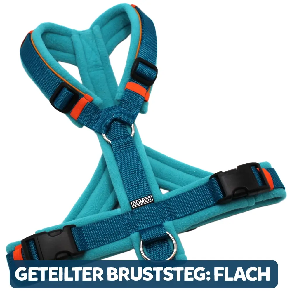 BUMER Hundegeschirr, gepolstert, Größe XXS / XS, Gurtband: PREMIUM X Petrol, Fleece: Turquoise Reef, Ringe: silberfarbig (Edelstahl), Schnallen: schwarz (DURAFLEX®), Paspel: Zimtorange, Gummi: Sundash