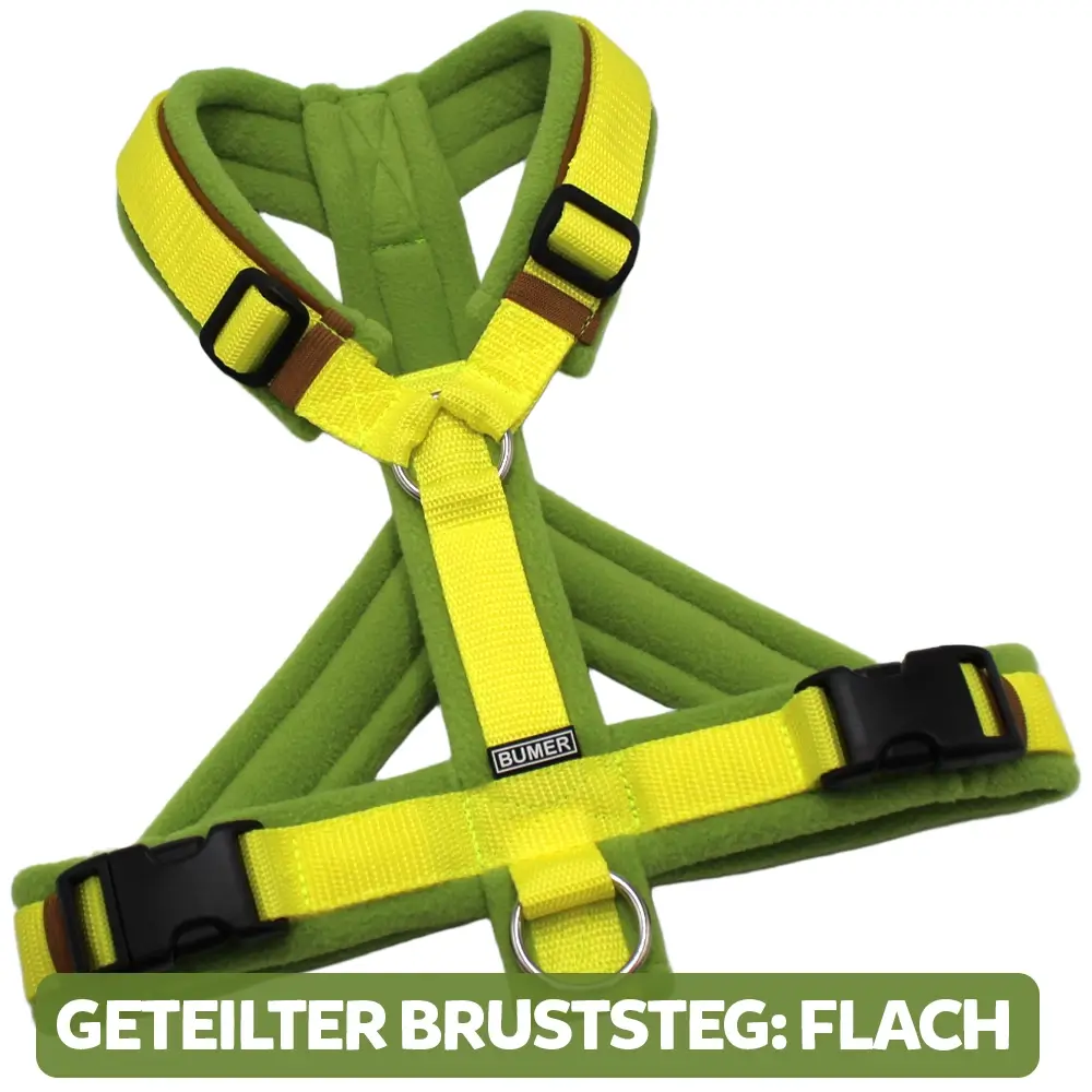 BUMER Hundegeschirr, gepolstert, Größe M/L, Gurtband: PREMIUM X Zitrinzauber, Fleece: Mossy Lime, Ringe: silberfarbig (Edelstahl), Schnallen: schwarz (DURAFLEX®), Paspel: Caffee Latte, Gummi: Bronzebark