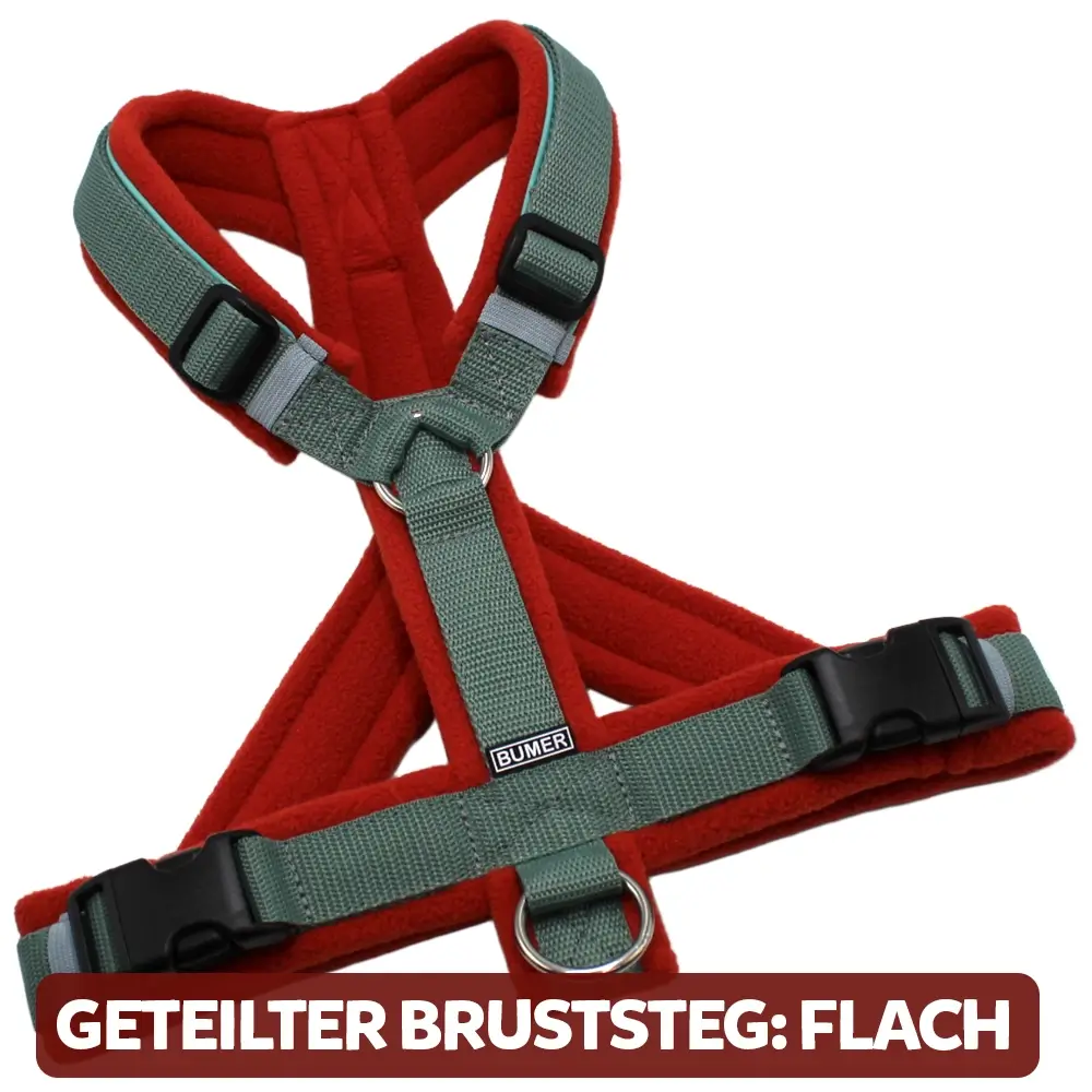 BUMER Hundegeschirr, gepolstert, Größe M, Gurtband: Salbei, Fleece: Terracotta, Ringe: silberfarbig (Edelstahl), Schnallen: schwarz (DURAFLEX®), Paspel: Minty Breeze, Gummi: Sagecloud