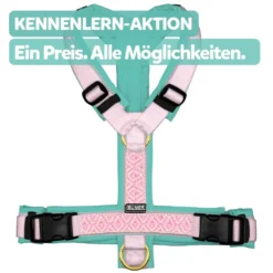 BUMER Kennenlern Aktion