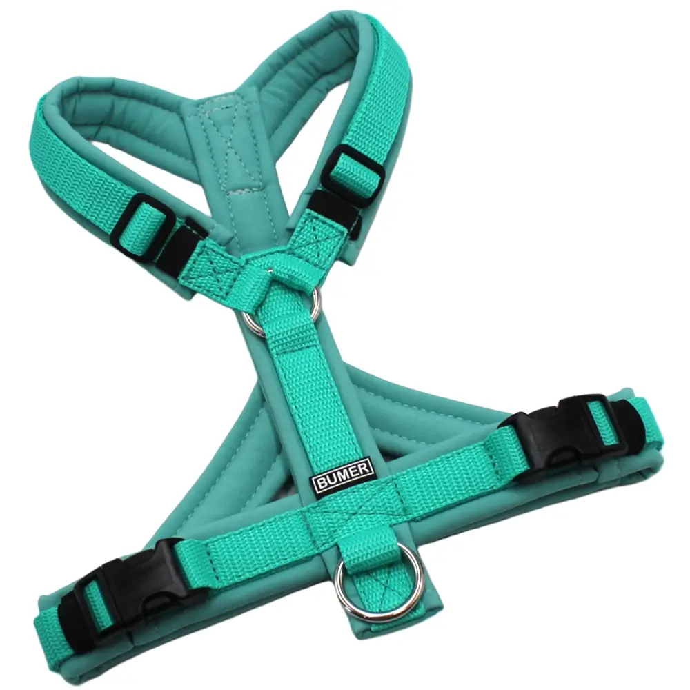 BUMER Hundegeschirr, Größe S, Gurtband PREMIUM X Minze, Softshell: Minty Breeze, Ringe silberfarbig (Edelstahl), Schnallen schwarz (DURAFLEX®)