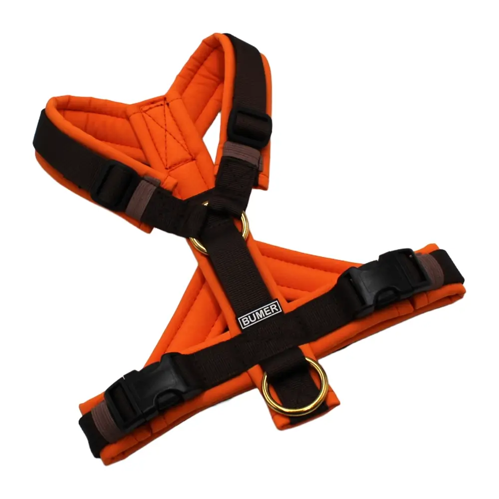 BUMER Hundegeschirr, Größe XS, Gurtband: PREMIUM Cocoa Bean, Softshell: Naranjada, Ringe: goldfarbig, Schnallen: schwarz (DURAFLEX®), Bruststeg: geteilt (flach)