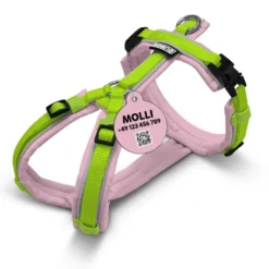 BUMER MINI Hundegeschirr, Softshell, personalisierbar